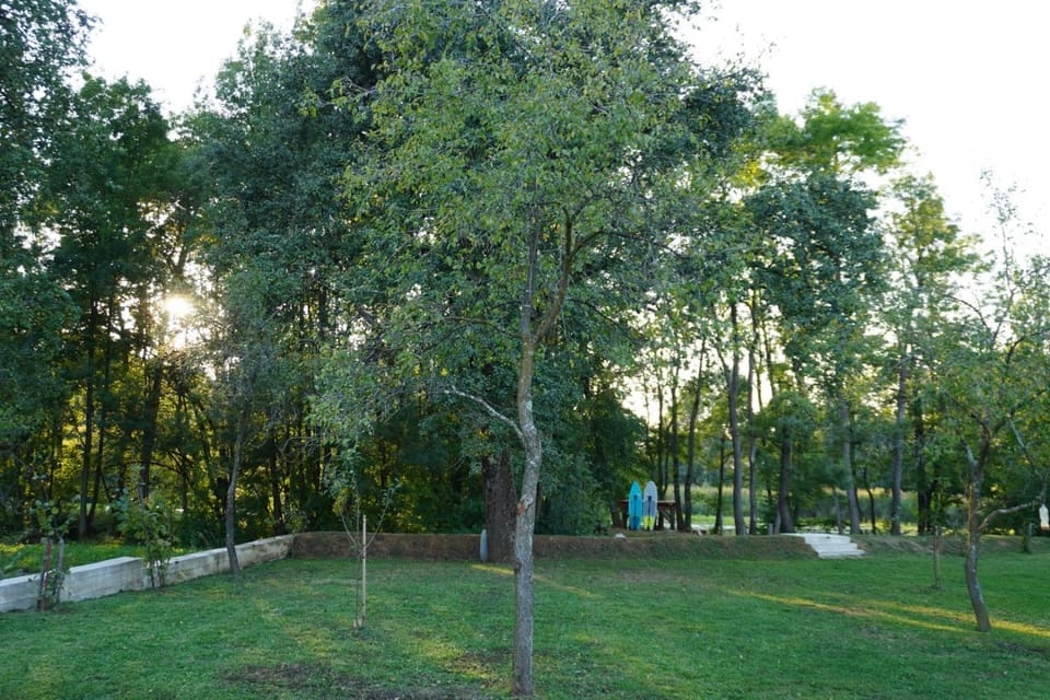 Natural landscape, Garden view