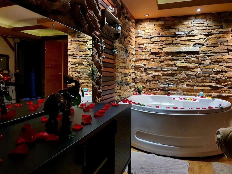 Stone Spa Apartman Apartment in Vojvodina