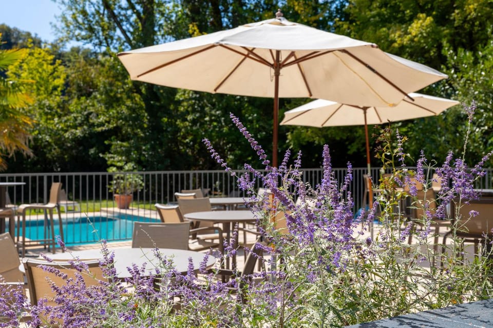 Restaurant/places to eat, Restaurant/places to eat, Day, Pool view