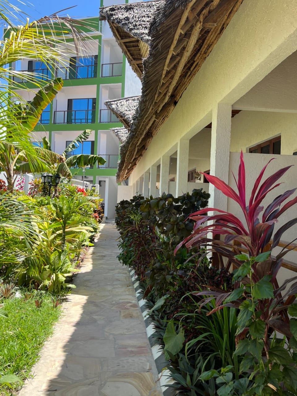 Property building, Garden view