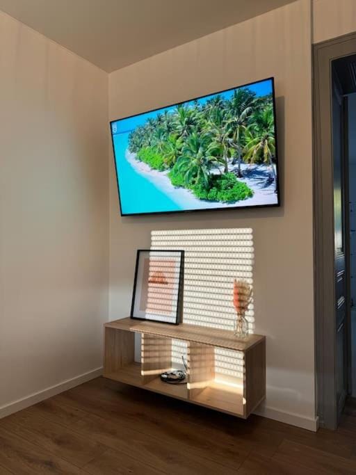 TV and multimedia