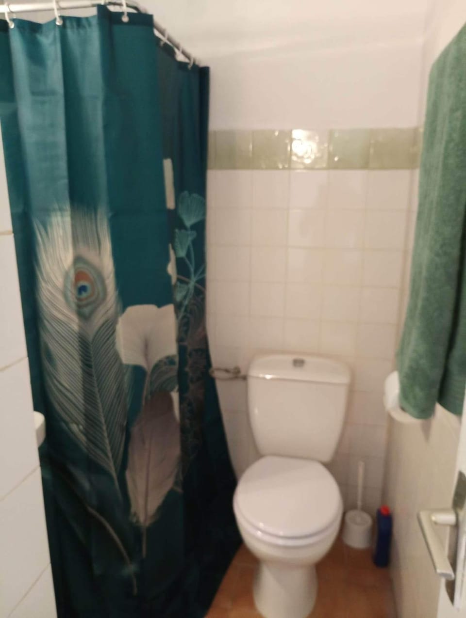 Shower, Toilet