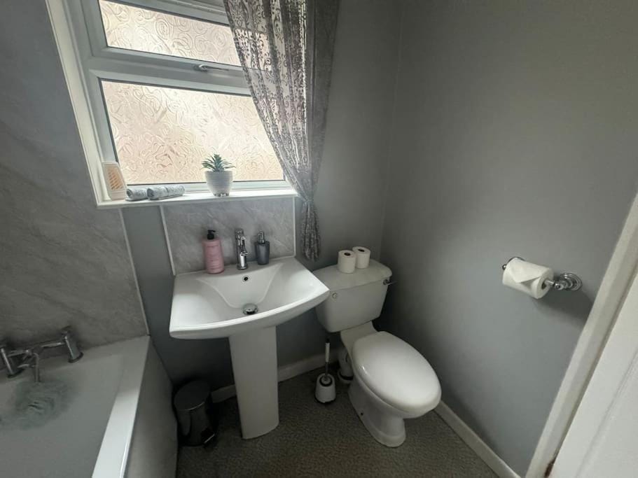 Toilet, Bathroom