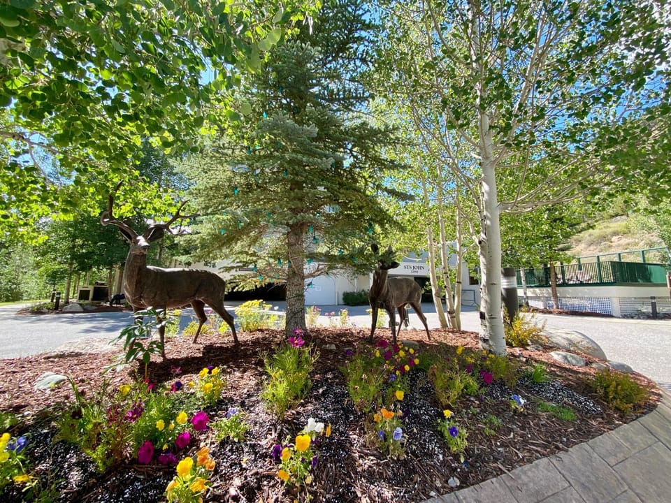 Saints John 2537 by SummitCove Lodging in Colorado House in Keystone