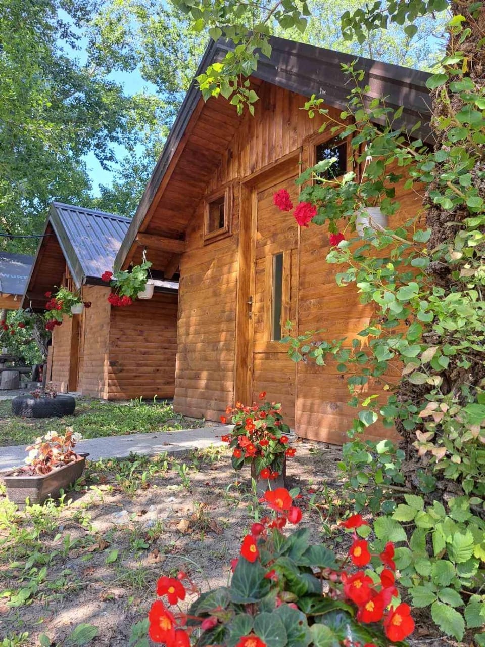 Property building, Day, Garden, Garden view