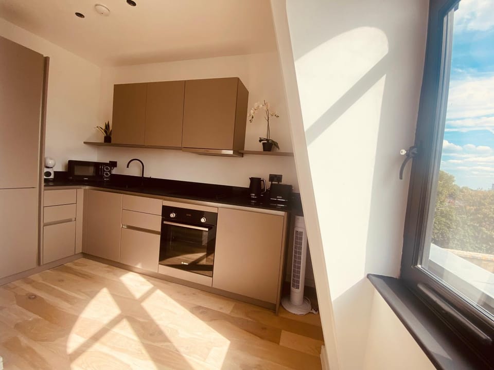 Brand New Modern 1 Bed flat with terrace Apartment in London Borough of Hackney
