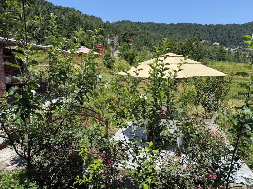 Lifessenza Homestay Vacation rental in Himachal Pradesh