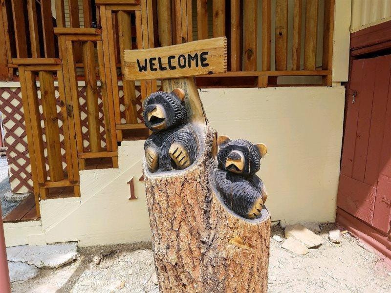 Papa Bears Cabin Cabin in Ruidoso
