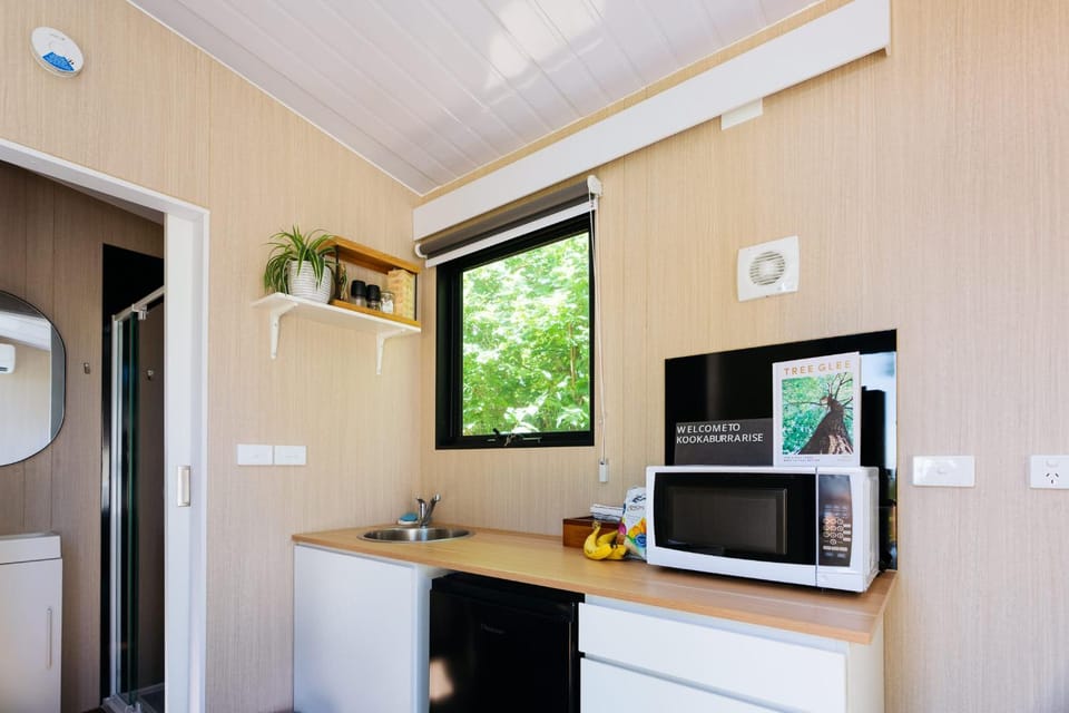 Kitchen or kitchenette, oven