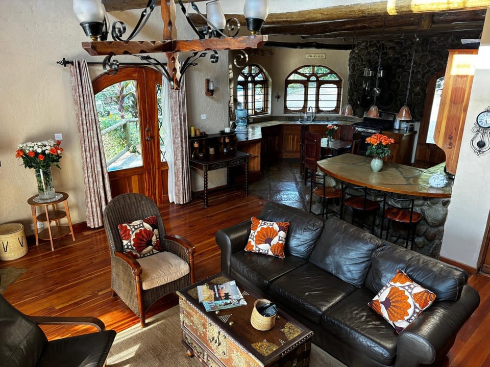 Living room, Food and drinks, Seating area