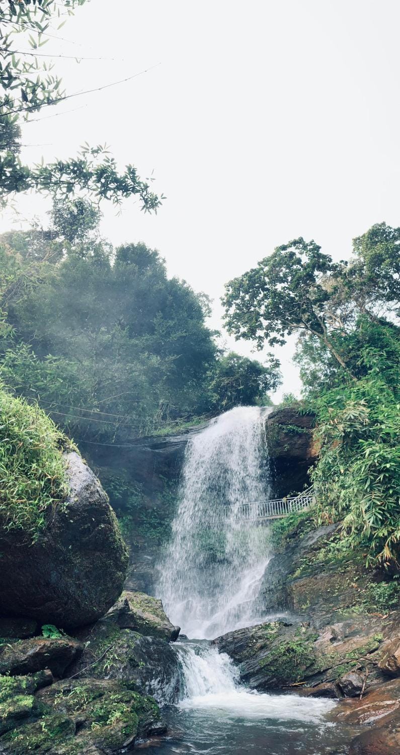 Day, Natural landscape