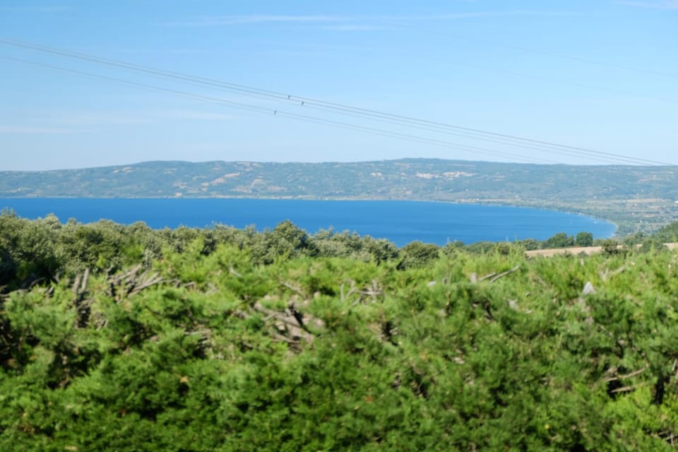 Lake view