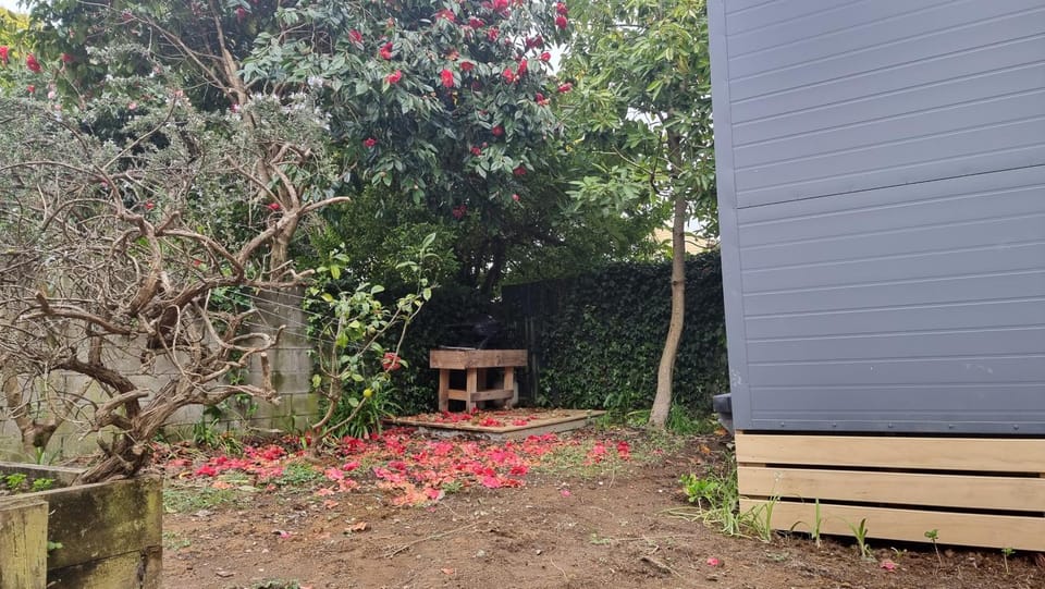 BBQ facilities