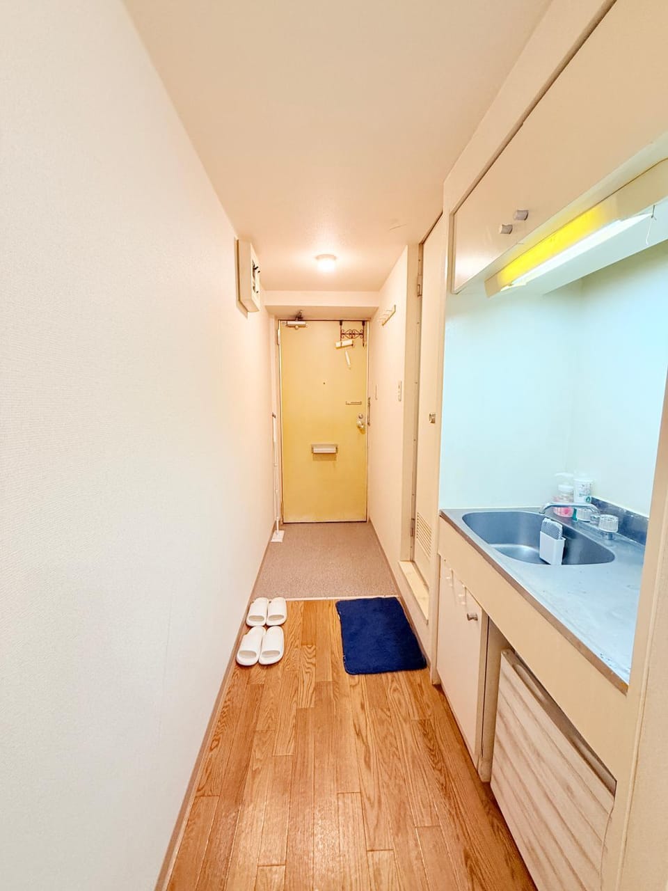 Shinjuku Kabukicho#Shinjuku Center新宿中心地带 著名歌舞伎町#车站步行3分#24小时保安#高速无限制网络#lions mansion 6XX5BK Apartment in Shinjuku