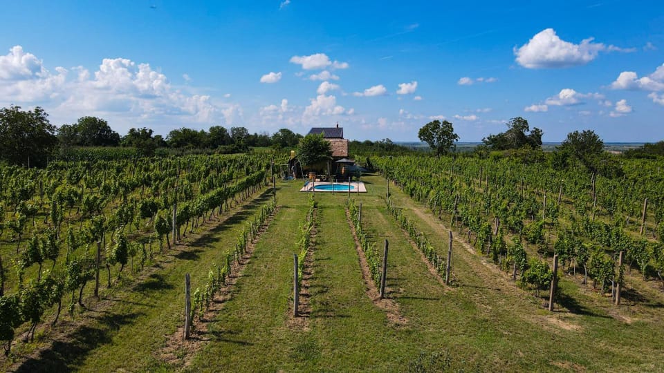 Natural landscape, Garden