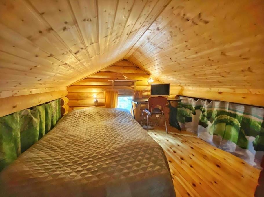 Uniikki lomamökki mäntymetsässä järven edustalla Chalet in Finland