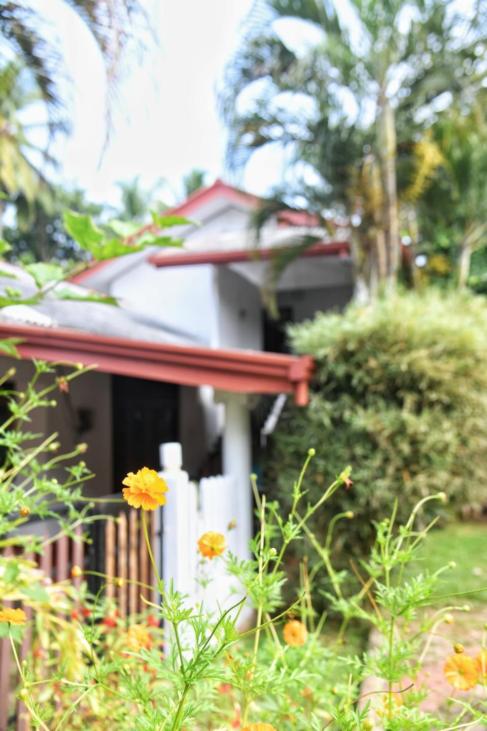 Property building, Garden, Garden view