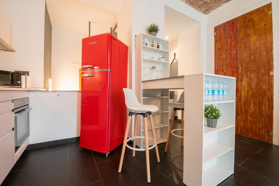 Loft Mazzini Torino centro Apartment in Turin