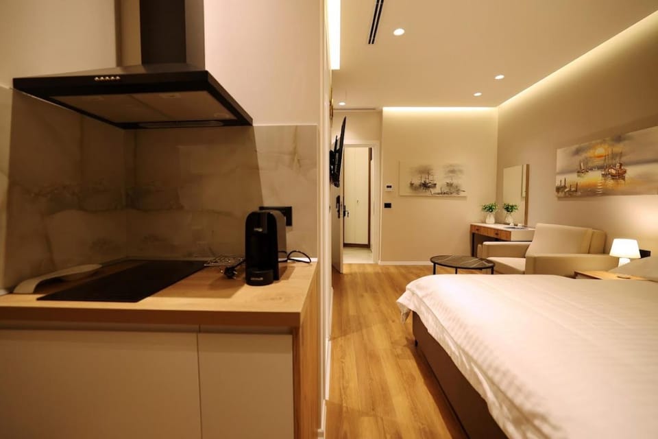 Bed, Kitchen or kitchenette, Photo of the whole room, Decorative detail, Seating area, Bedroom, Area and facilities, furniture, internet, stove, air conditioner