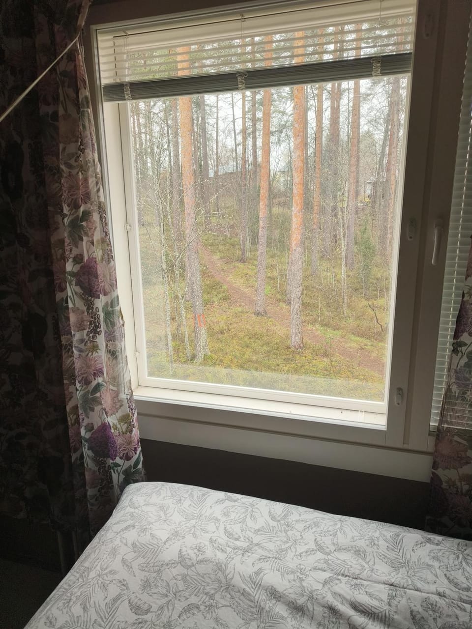 Spring, Natural landscape, Bedroom