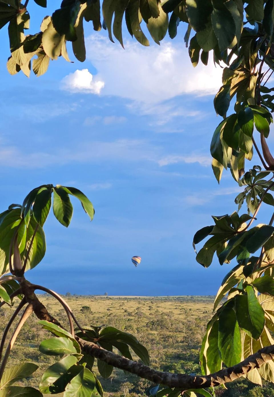 Natural landscape, View (from property/room), Garden view