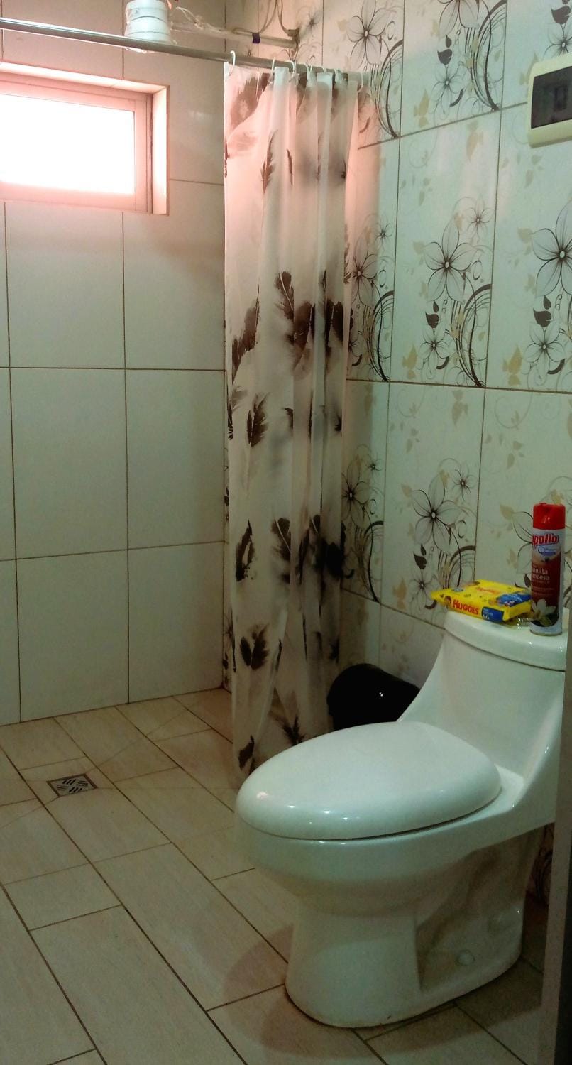 Shower, Toilet, Bathroom