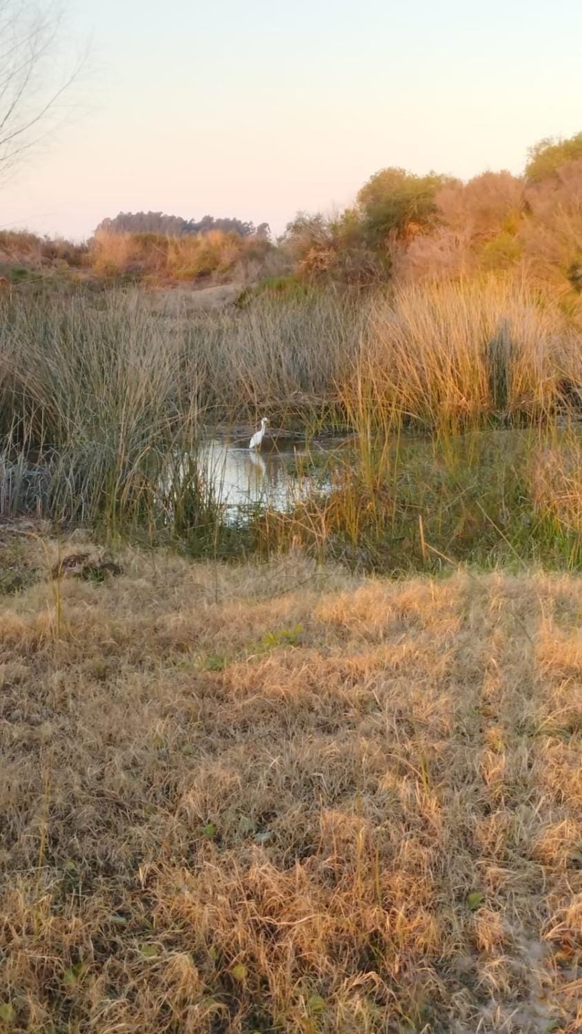 Natural landscape