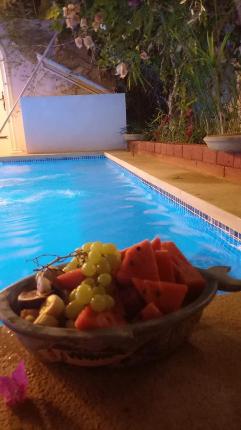 Pool view, Swimming pool