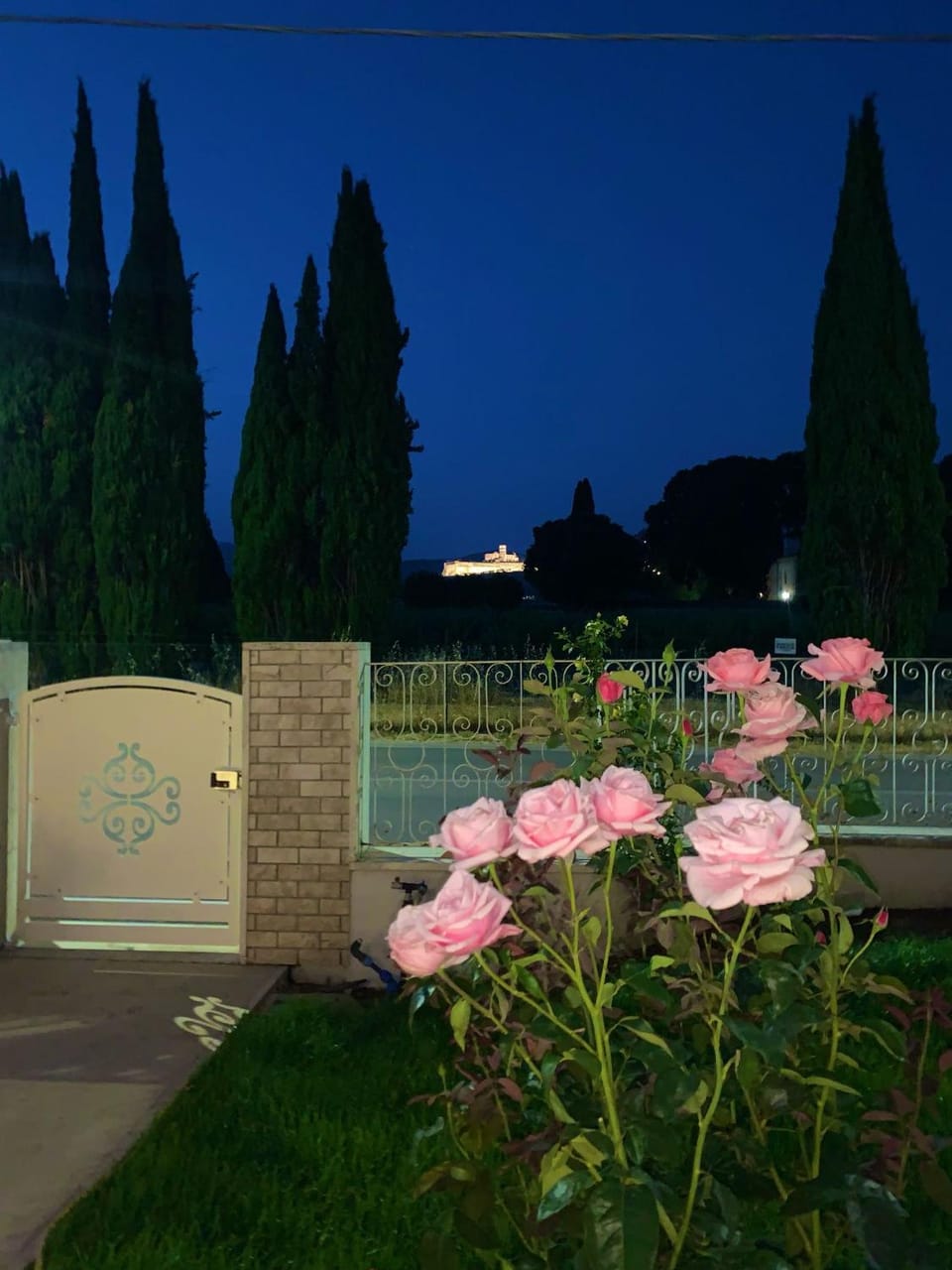 Garden view