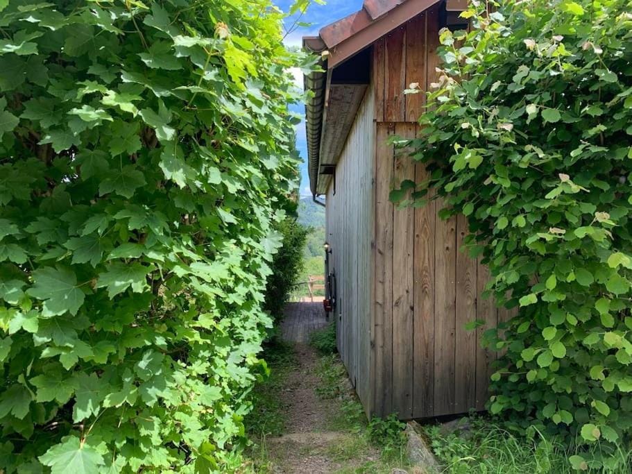 Ferme pleine nature, vue splendide 2 chambres cheminée House in Vosges
