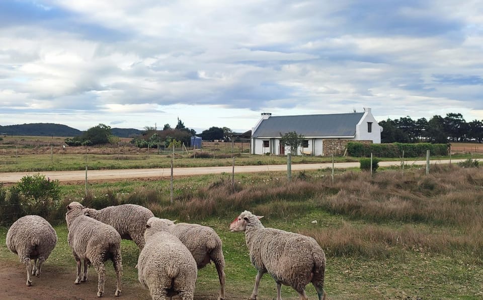 Property building, Natural landscape