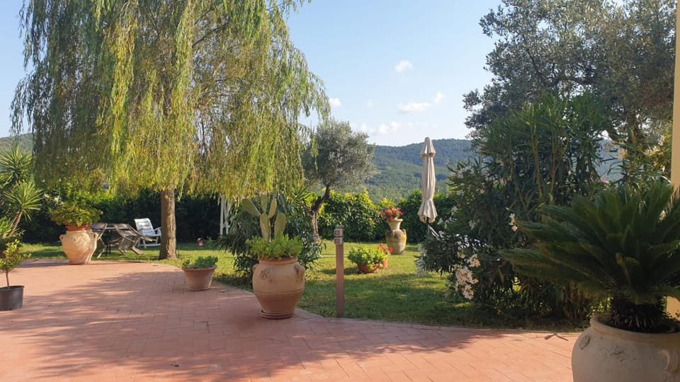Garden, Garden view