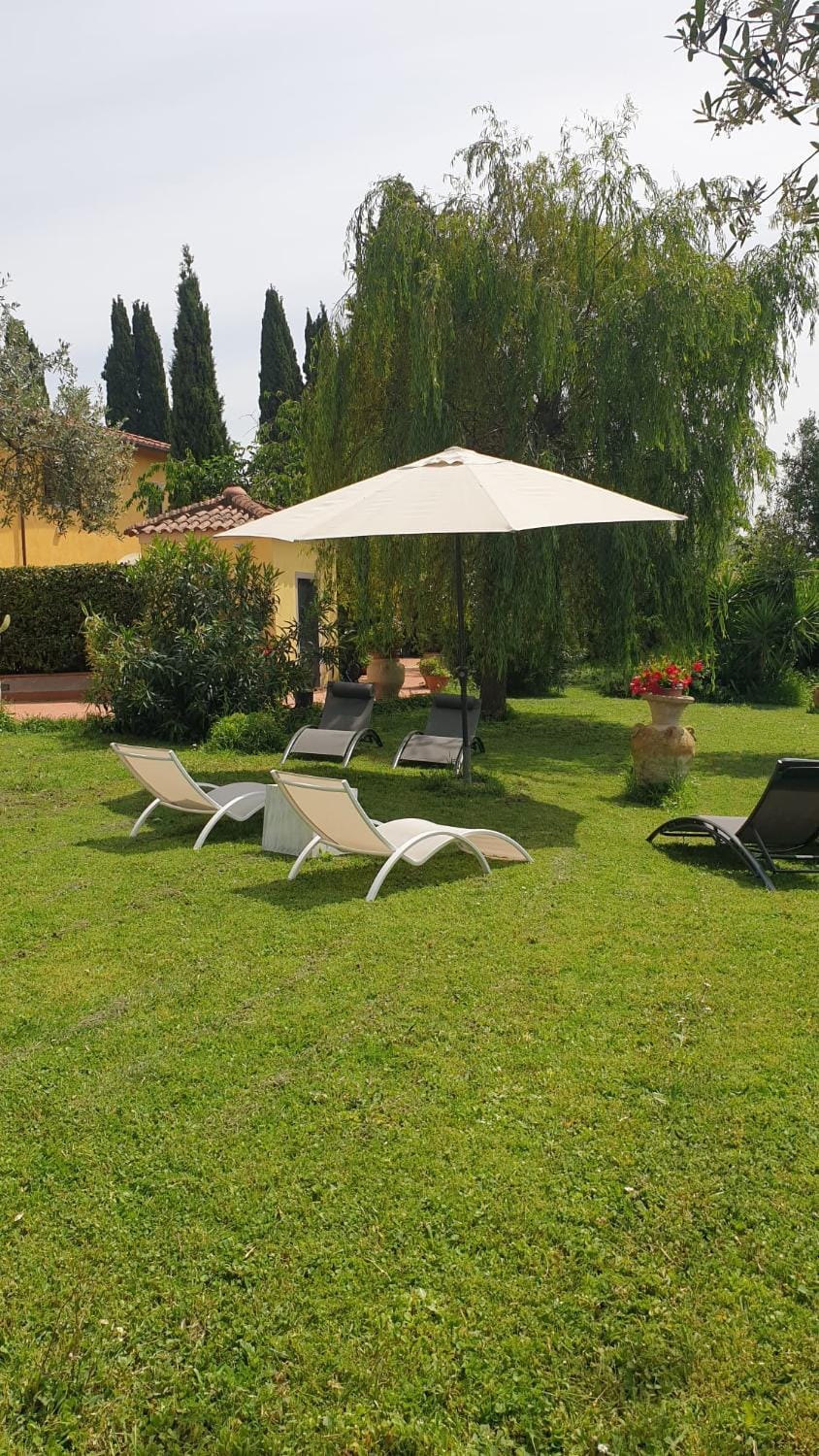 Garden, Garden view, sunbed
