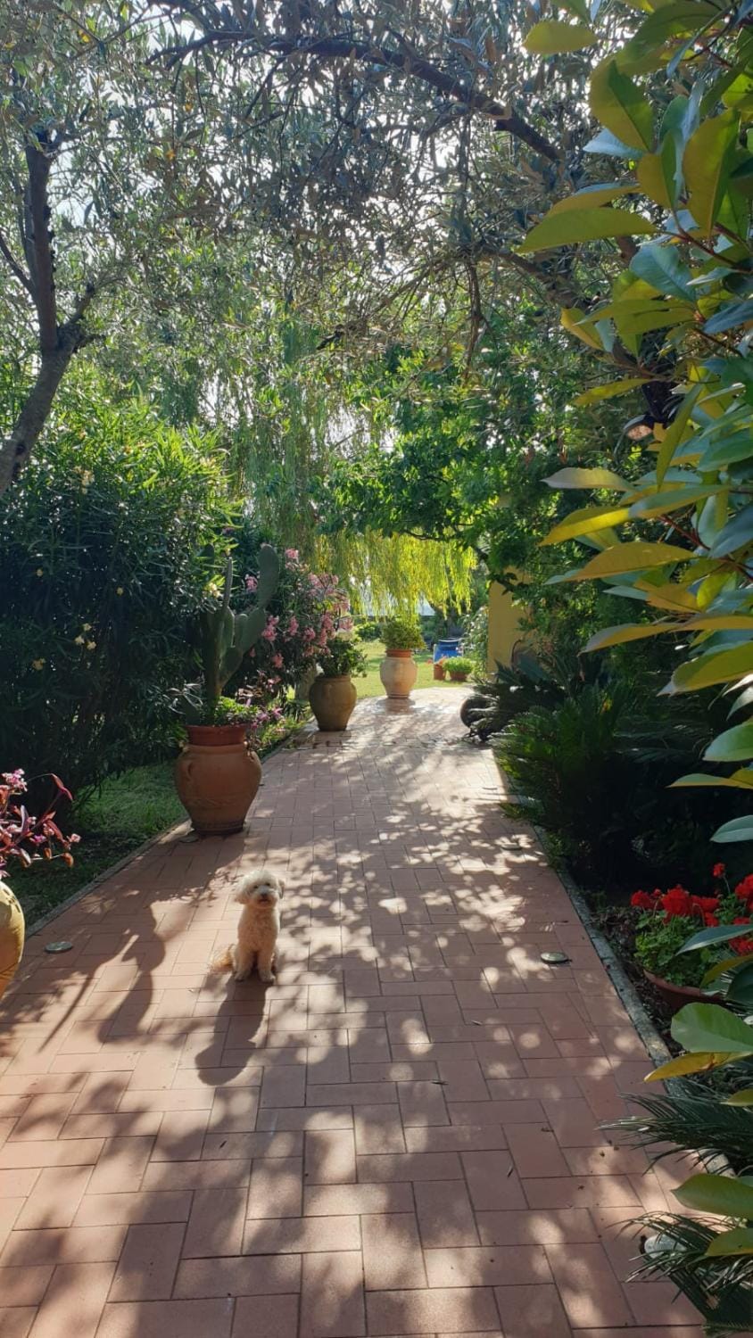 Garden, Garden
