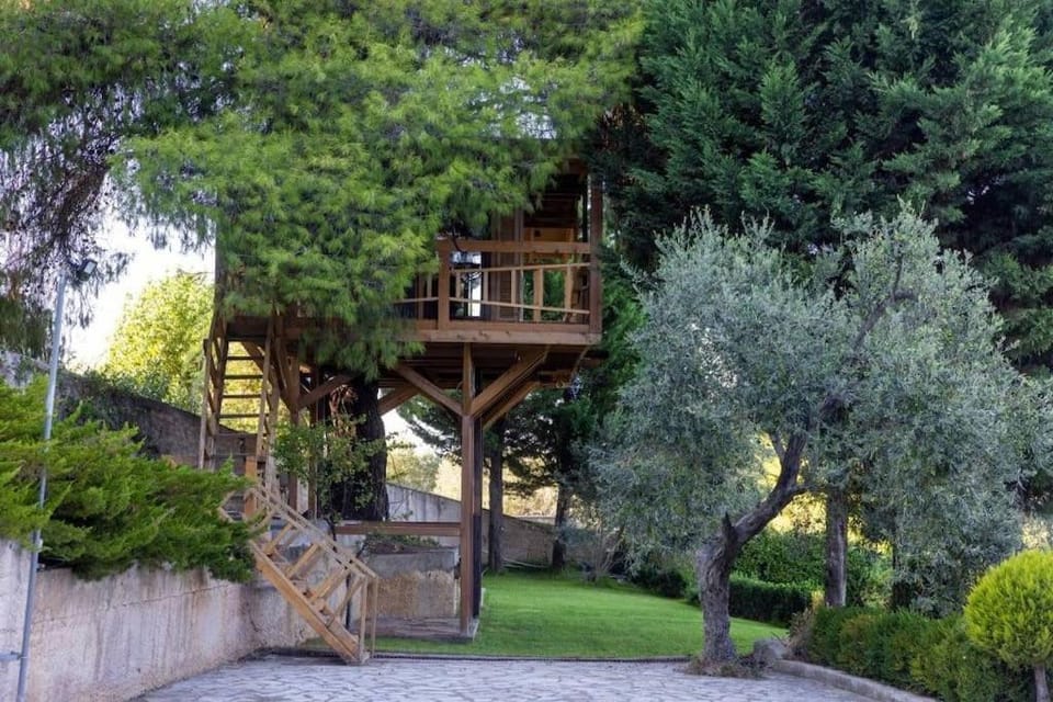 Sani Tree House House in Halkidiki