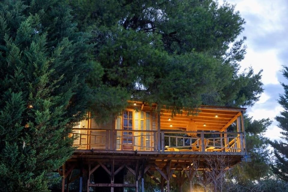 Sani Tree House House in Halkidiki