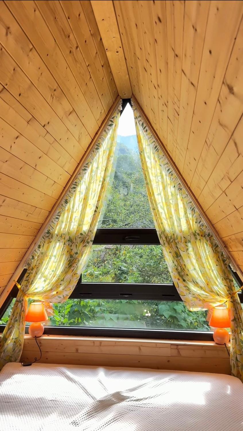 Shoda Valley შოდა ველი Apartment in Georgia