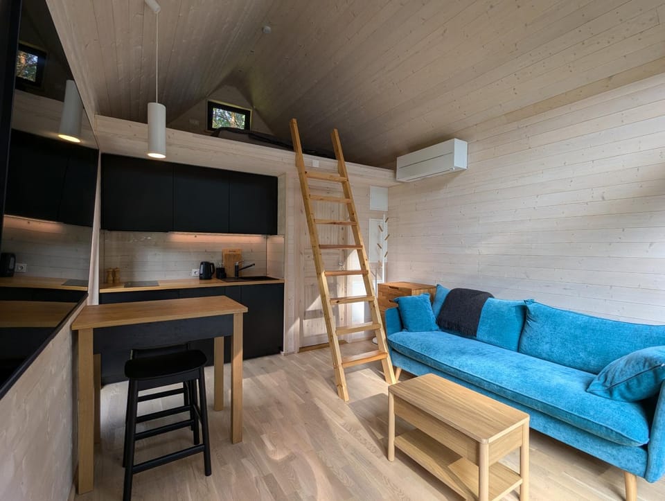 Living room, kitchen