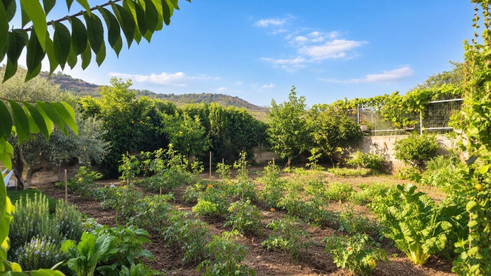 Natural landscape, Garden, View (from property/room), Garden view, Garden view, Mountain view, Inner courtyard view