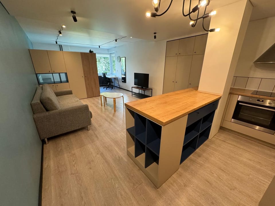 TV and multimedia, Kitchen or kitchenette, Living room, Seating area, Dining area