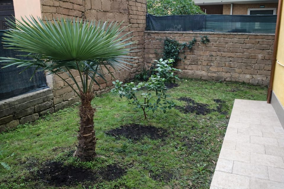 Day, Garden, Garden view