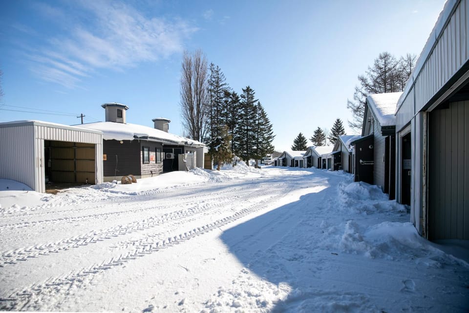 Property building, Day, Winter