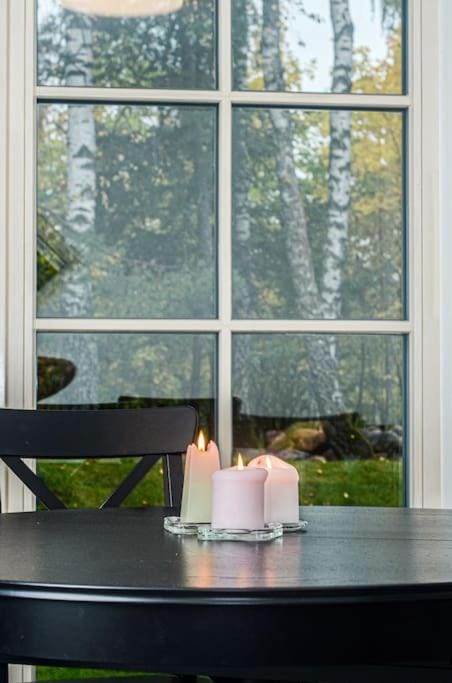 Rami erdvė šalia miško ir ežero darbui ir poilsiui Apartment in Senieji Trakai