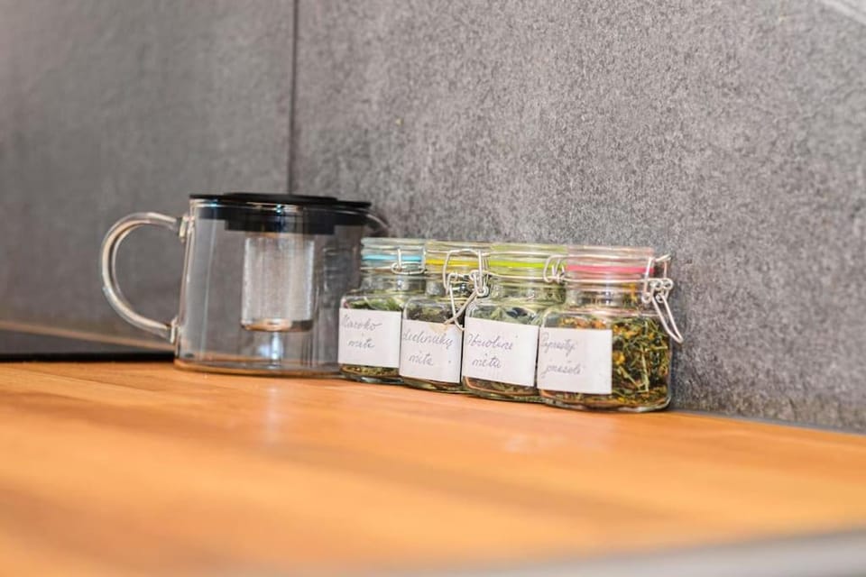 Rami erdvė šalia miško ir ežero darbui ir poilsiui Apartment in Senieji Trakai