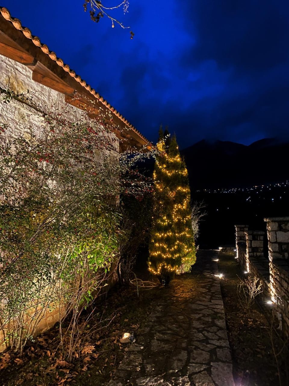 Night, Natural landscape
