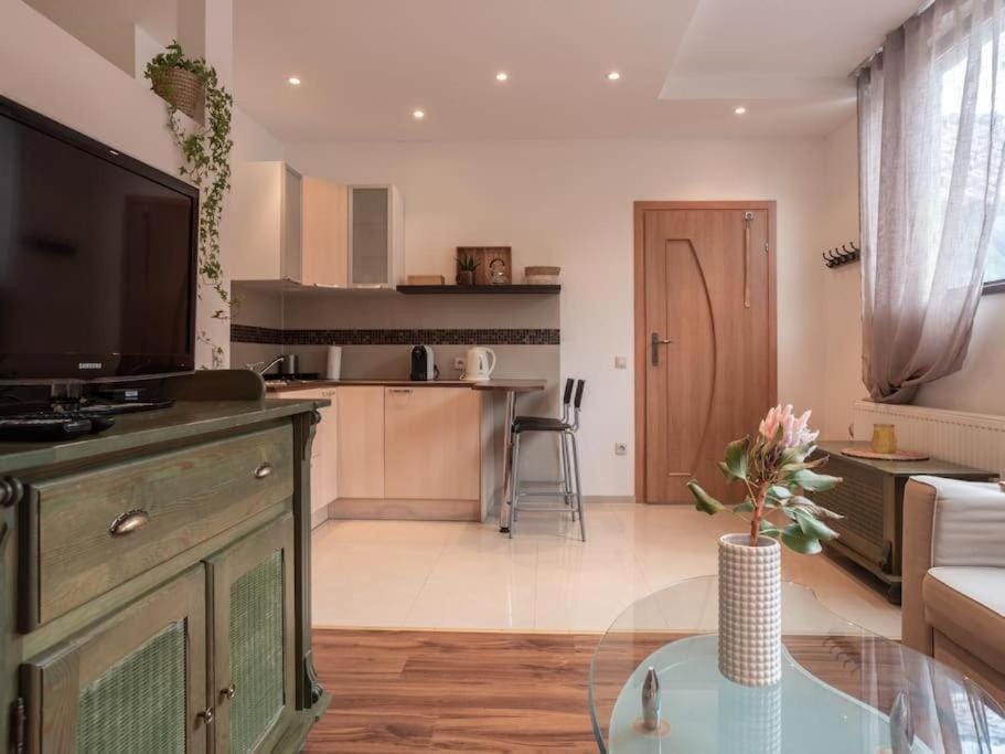 Apartament typu Studio KAMYKÓWKA w sąsiedztwie gór i lasów Piechowice Apartment in Lower Silesian Voivodeship