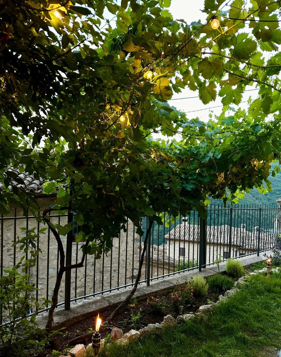 Natural landscape, Garden, Garden view