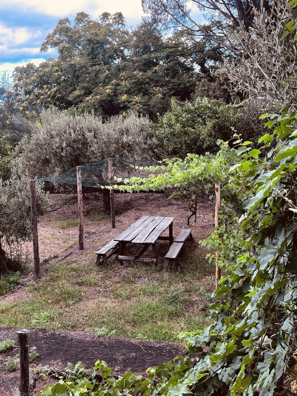 Children play ground