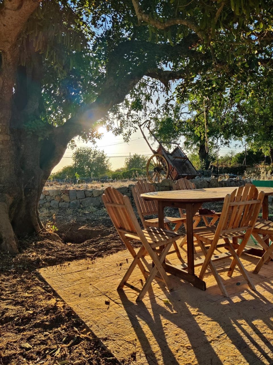 Garden, Dining area