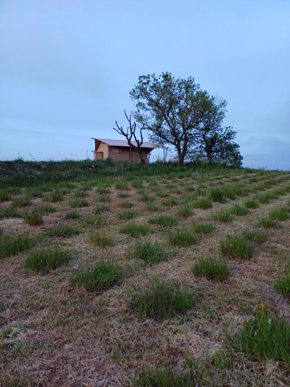 Natural landscape